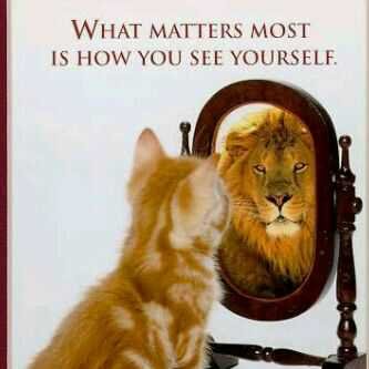 adekemiaikomo's profile picture. Christian Medical Doctor, wife, mother and an enterpreneur.