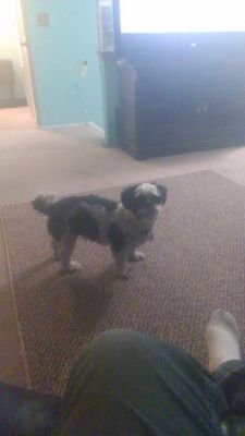 davidarnold7775's profile picture. 