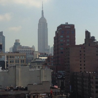 frogguide's profile picture. 