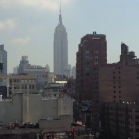 Joan Kedziora (@frogguide) 's Twitter Profile