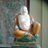 Evolucio9N's profile image