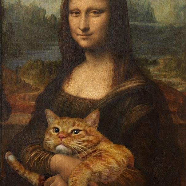 pelinbahceli's profile picture. Istanbul kedisi.