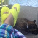 Carrie Cook - @jccookiebear - Twitter