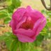 Upminster Gardening (@upgardening) Twitter profile photo Upminster Gardening (@upgardening) Twitter profile photo