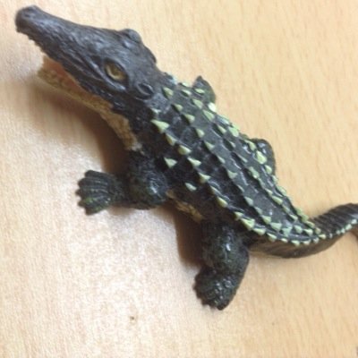 僕はS.OstationのリーダーのS.Oです。
まだYouTuberとしては全くダメですが
仲間と協力して皆さんに動画を楽しんでもらうために努力するのでよろしくお願いします❗️アドバイスなどあればDMでよろしくお願いします。クレームも受け付けますが理由もしっかりおっしゃって下さる人に限ります。