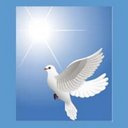 Albert Watson Jr - @61Chief - Twitter