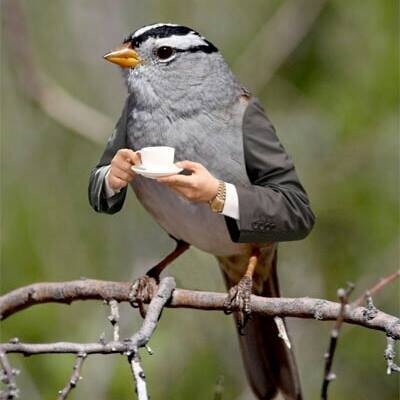 Sexy69Canadian's profile picture. 