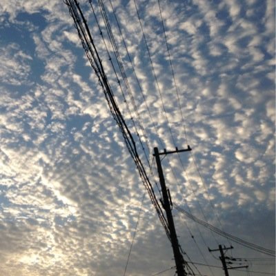 mono__photo's profile picture. 特別ではないただの景色。日常で撮る景色を忘れたくなくて。なくしたくなくて。