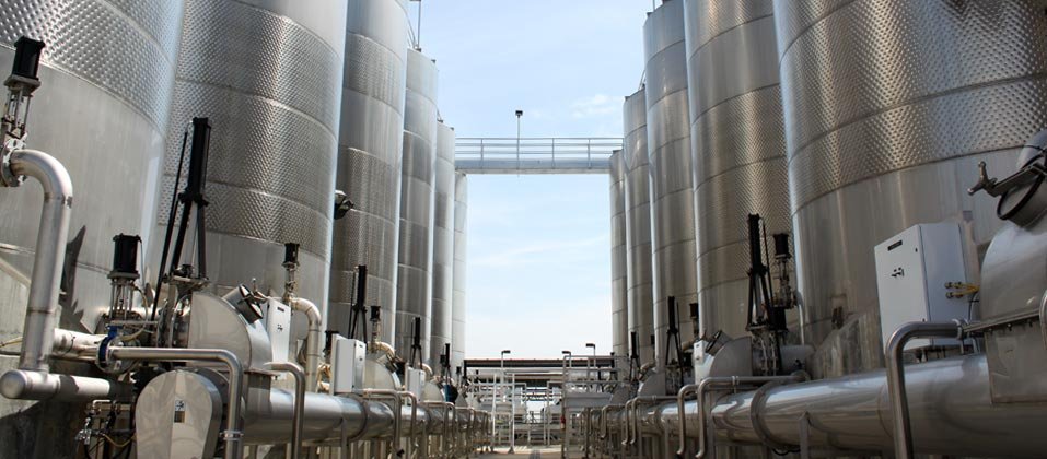 weltyeng's profile picture. 