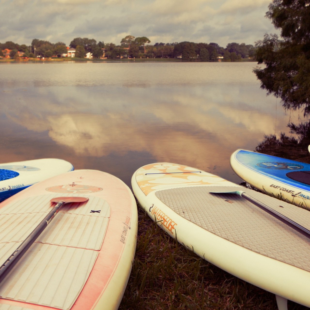 We are an Orlando based photography collective providing professional photo services to the greater Orlando community.