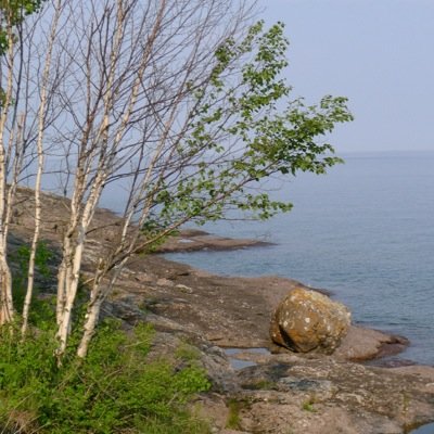 BrindaMarianne's profile picture. 