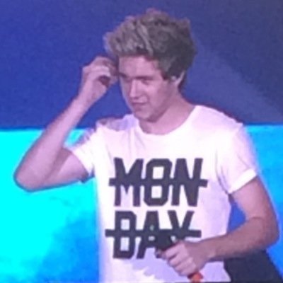 HEY FOLLOW @njhrtru SHE DMS PEOPLE TO NIALL LIAM AND ZAYN