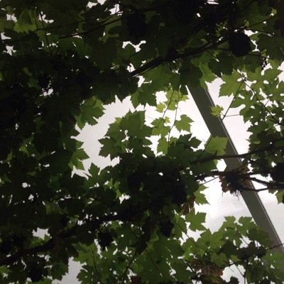 rixon_matt's profile picture. 