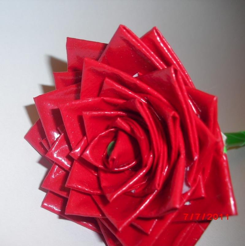 I've got a talent with roses and a mind urging for education.