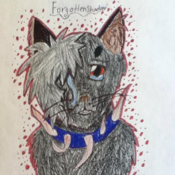 |This is Forgottenshadow Artist bringing my Oc to the twitter-verse of RP| Shecat, single. Her heart is twisted and she is literally a forgotten shadow. Alone.