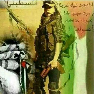 a7mn311's profile picture. 