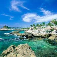 notmywills's profile picture. 