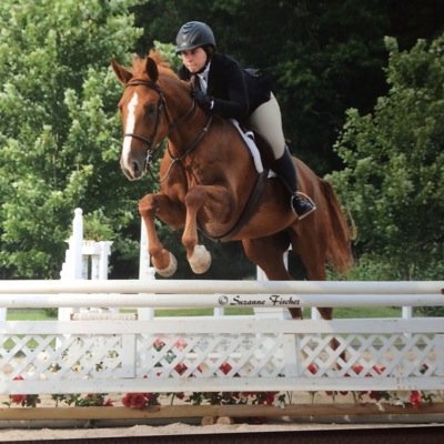 KatieJordonk's profile picture. 