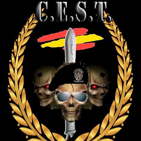 Nuestra intención es formar los mejores profesionales dentro de la Seguridad (Seg. Privada, Escoltas, Policía Local, CNP, Guardia Civil y Fuerzas Armadas)