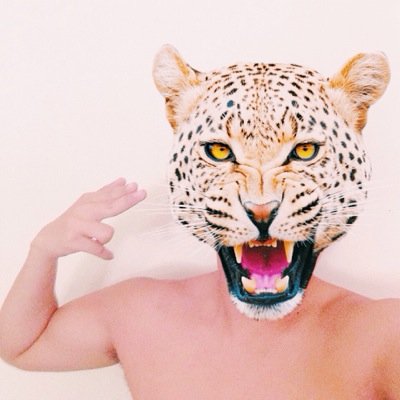 FUIncorporated's profile picture. Welcome to my thought process