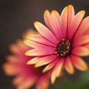 Michelle Leah Morin - @michelleleah10 - Twitter