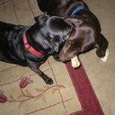 Terry Rubin - @TerryRub71 - Twitter