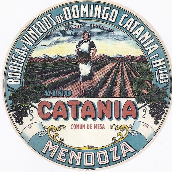 catanuso's profile picture. Autor del libro La Interpretación Sensorial del Vino. Dictando desde siempre  Curso Superior de Degustación de Vinos en INTA. Fanático de los vinos Argentinos.