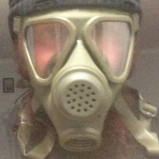 frogmouthperch's profile picture. 