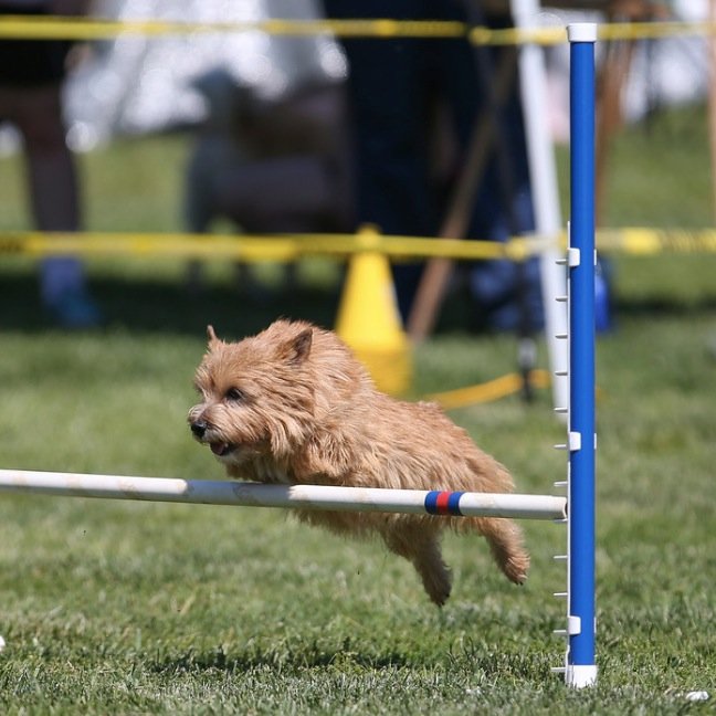 JamieLahy's profile picture. Special Education and Science Teacher for Falls Church City Schools.