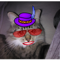 Privacy for Cats (@kittenprivacy) 's Twitter Profile