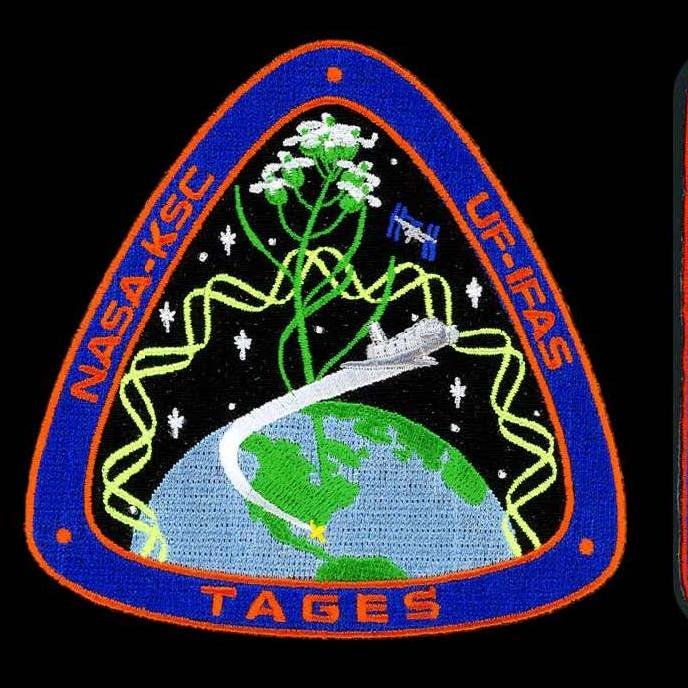 Univ. of Florida plant molecular biologist Dr. Robert Ferl and Dr. Anna-Lisa Paul lead a team focused on growing plants in space environments.