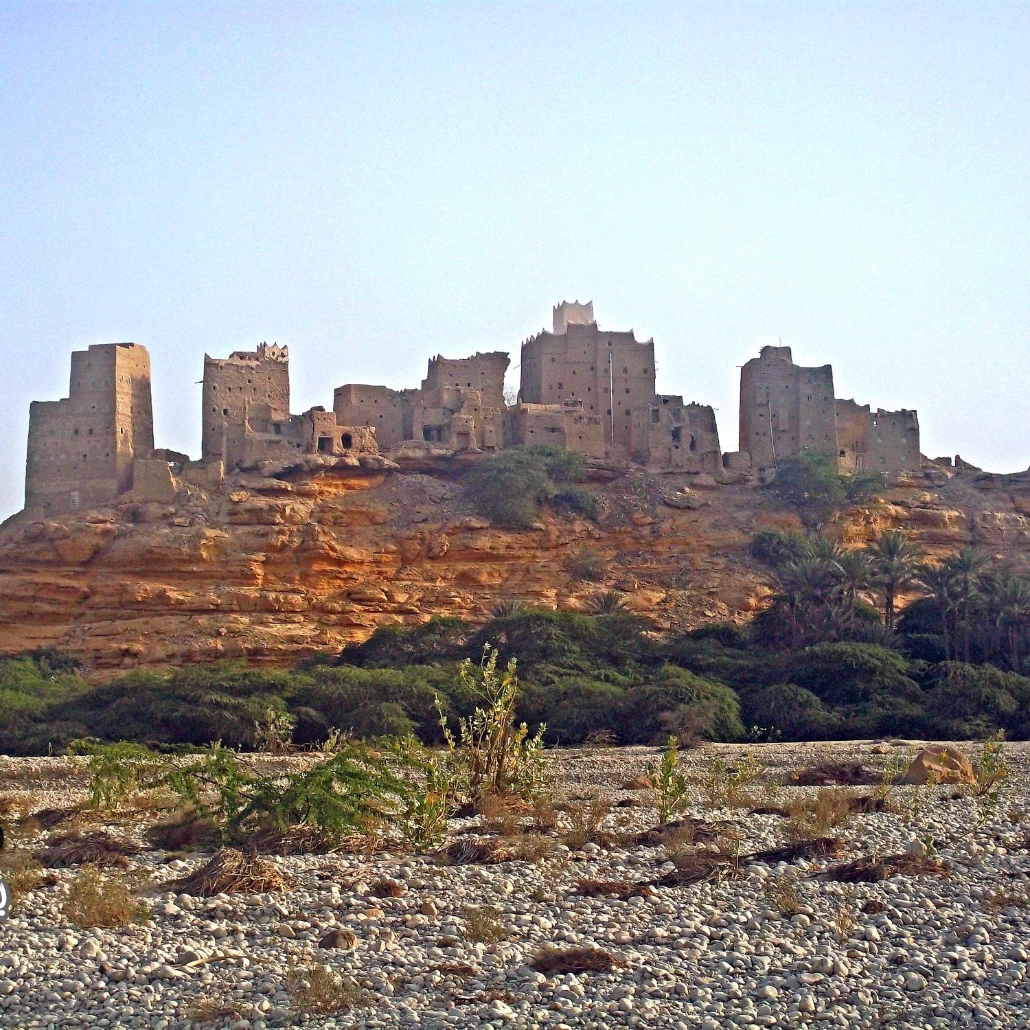 مهتم بتاريخ العرب وأنسابهم