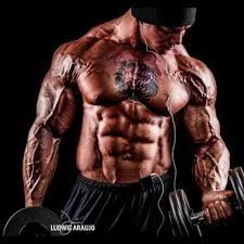 Aspiring kindle author,internet entrepreneur,workout fanatic,self dev student,expansion always in all ways