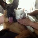 Jean Leroy - @fredjeaninesade - Twitter