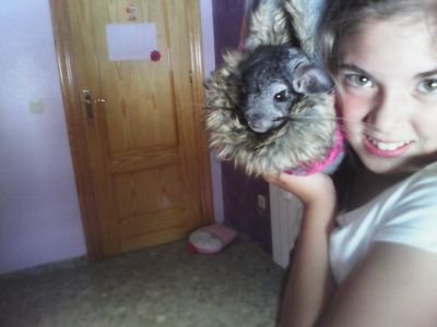 sweti asta la muerte dando guerra desde 2002 animalera forever queriendo a mi gatita mis amigas y a mi familia para siempre y claro queriendo a mis swt c 3