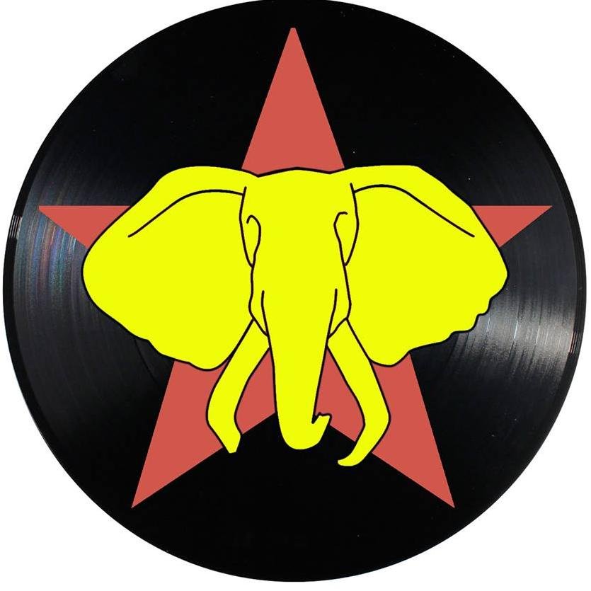 NE1sELEPHANT's profile picture. 