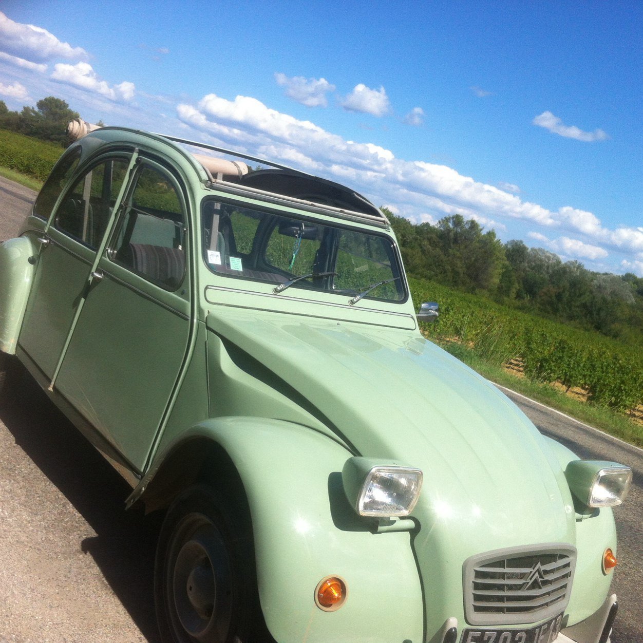 Latans's profile picture. 