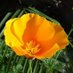 Shelly Chettinger (@shellyjo72) Twitter profile photo