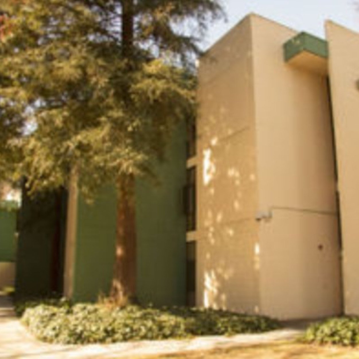Sutter Hall is a traditional hall at Sacramento State University that offers more than just housing for residents