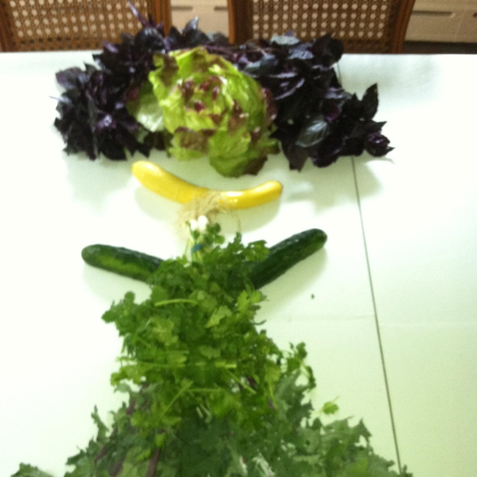 Registered Dietitian and dedicated healthy chef. Moderation is the key to a balanced life.