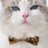 Cat_Whispers's profile image