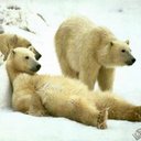 Jon Dow - @s_v_a_v_a_n - Twitter