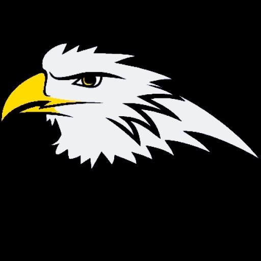 Hi I am The Infinity Eagle and I am a game channel I will play the most MineCraft!
