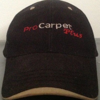 Professional and Affordable Carpet Repair, Restorative Cleaning and Installation.  We also correct Pet Urine Damage down to the subfloor.