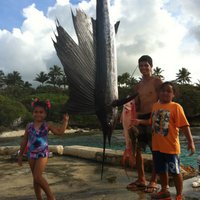 Coral Pasisi (@coralpasisi) 's Twitter Profile