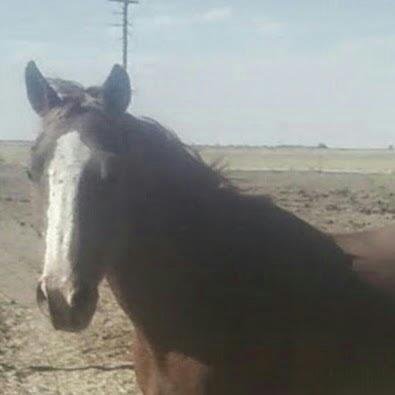 CharlieDressel's profile picture. 