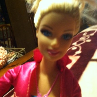 barbie lover