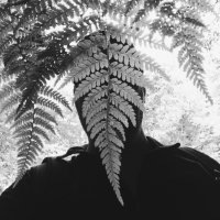 Jérôme Galland (@jeromegalland) 's Twitter Profile
