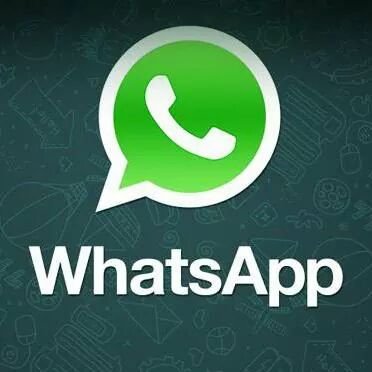tu whatsapp esta apagado manda tu numero y te metemos a un grupo