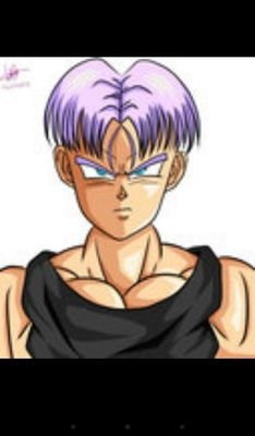 Im Trunks son to @EvilMajin @WestCityBulmaB im there pride and joy. I wont let my family down I'll own Capsule Corp and become strongest Saiyan/HalfBreed.